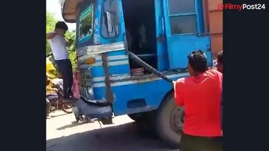 Giant Python on Truck! 15 Feet-Long Python Travels From Madhya Pradesh to Uttar Pradesh, Watch Viral Snake Video